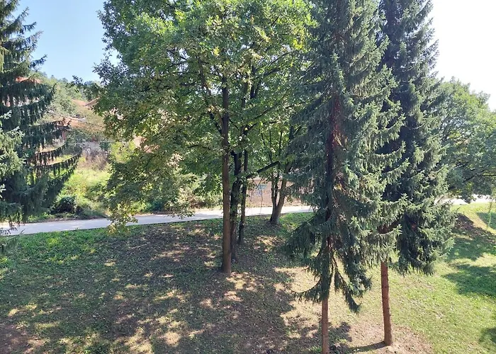 Sevojno Studio