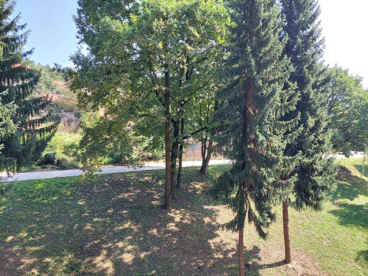Sevojno Studio *