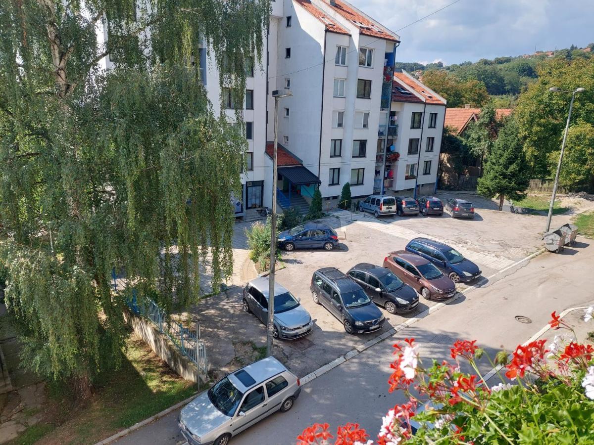 Sevojno Studio Apartment