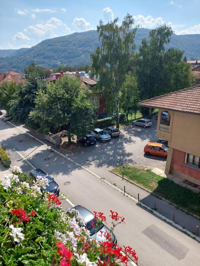 Sevojno Studio *