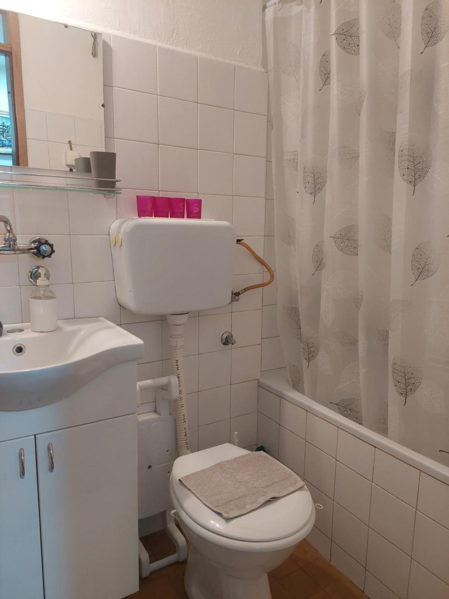 Apartment Sevojno Studio Sevojno